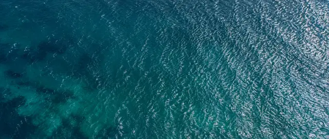 Sunlight on ocean water